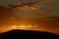 «Сбраживание», «тигровар»: радио «Судного дня» передало новые загадочные сообщения