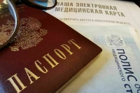 В МВД рассказали о схеме мошенников с «подтверждением паспорта голосом»