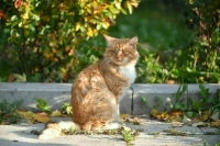 Пасмурно и тепло: какой будет погода на выходных