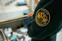 Таможенники изъяли 8 млн пачек контрабандных сигарет с начала года