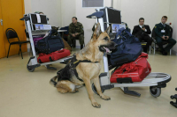 За три года на границе России изъяли свыше 62 тонн наркотиков