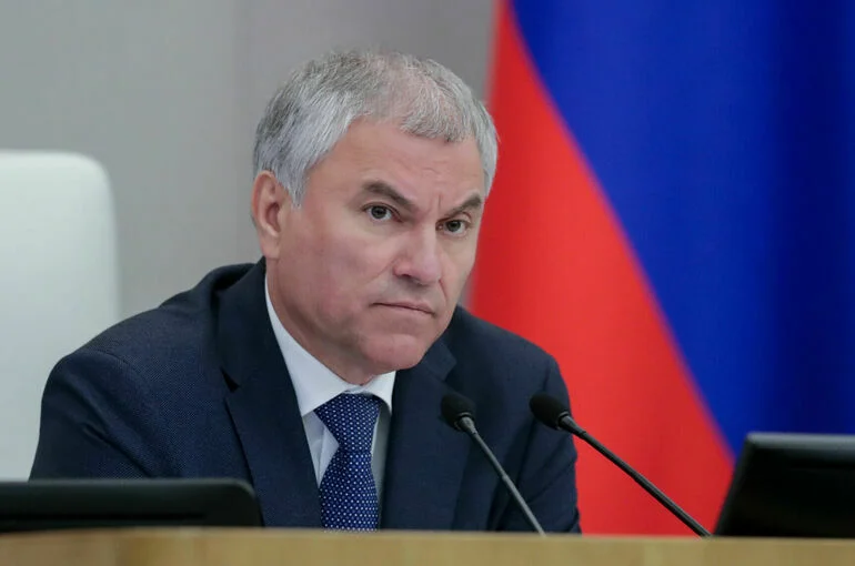 Володин рассказал, как работает режим высылки для мигрантов