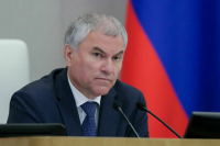 Володин рассказал, как работает режим высылки для мигрантов