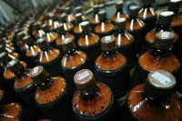 В России может исчезнуть русский квас