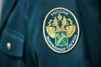 Срок декларирования сложного оборудования продлят до десяти лет