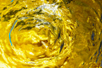 В Госдуме рассмотрят обращение в кабмин о пальмовом масле