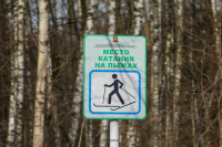 Фиджитал-спорт и лыжные гонки войдут в модули уроков физкультуры в школах