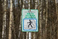 Фиджитал-спорт и лыжные гонки войдут в модули уроков физкультуры в школах