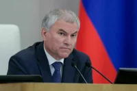 Госдума приоритетно рассмотрит законопроект об усилении наказания за диверсии