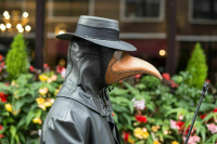 Эксперты рассказали об опасности бубонной чумы