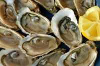 Володин: Устрицы не должны иметь налоговых льгот как детское питание