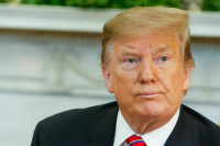 Политолог: Трамп отменил встречу с Путиным из-за сильного прессинга