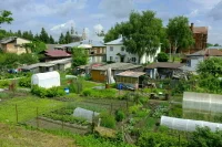 Депутат объяснил, какие дачные постройки освобождаются от налога
