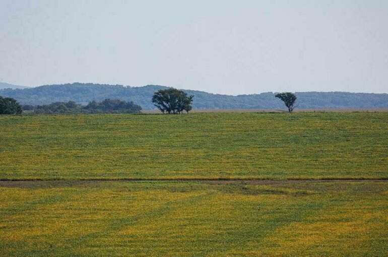Кабмин ограничит передачу федеральной земли муниципалитетам