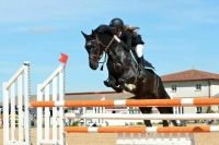 Российских наездников допустили до международных командных турниров