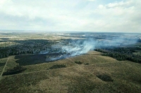 МЧС предложило запретить строить здания ближе 100 метров к лесу