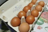 Экономист рассказал, какие продукты сильнее всего подешевели в 2025 году