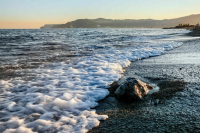 Прибывший из Трабзона паром Sea Bridge 40 часов находится у берегов Сочи