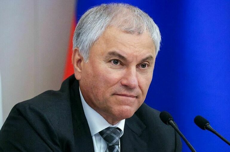 Володин: От компетентности сотрудников МВД зависит укрепление законности в РФ