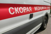 В ДТП с микроавтобусом в Белгородской области погибли два человека