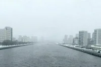 Синоптик спрогнозировал мощный снежный циклон в Москве 24 ноября