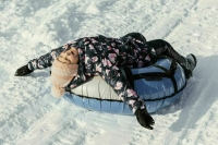 Депутат Буцкая: ГОСТ на тюбинги отправят на утверждение в Росстандарт