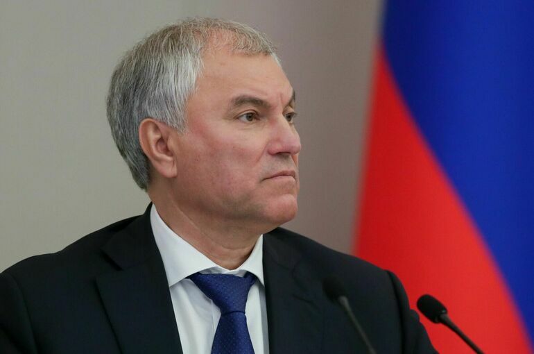 Володин поручил подготовить обращение к кабмину по поводу изъятия российских активов