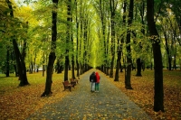 Очередная волна тепла накроет Москву и Подмосковье к выходным