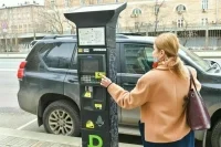 В Госдуме предложили сделать бесплатной парковку для многодетных