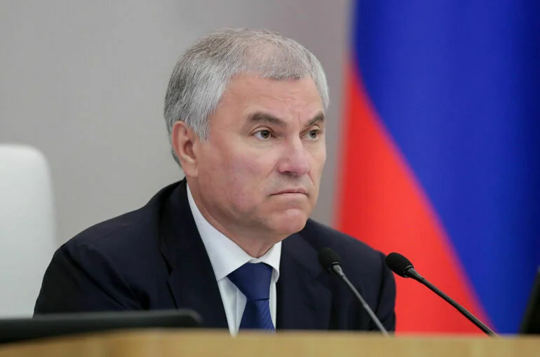 Володин: 20 ноября рассмотрим обращение к кабмину о мерах при хищении российских активов