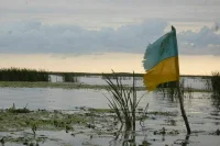 Политолог: Зеленский не собирается идти на уступки из-за страха потерять власть