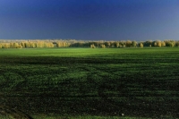 В Госдуму внесли законопроект о землях с особыми условиями использования