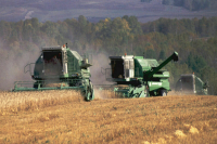 Афганцев предложили привлекать в сельское хозяйство России