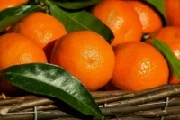 Как выбрать вкусные мандарины на Новый год