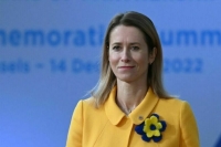 Каллас назвала обоснованным беспокойство по поводу использования активов России