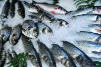 Большинство россиян хотят есть рыбу, но не покупают из-за дороговизны