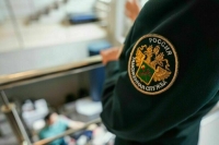 Таможенники пресекли контрабанду драгоценных камней из Индии на 3,4 млн рублей