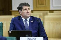 Сенатор рассказал, где лучше всего встречать Новый год