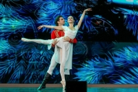 Максимальная цена на балет «Щелкунчик» в Большом театре составила 50 тыс. рублей