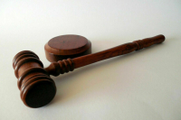 Бориса Акунина* приговорили к 15 годам заключения