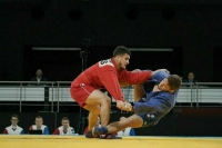 Российским самбистам вернули право выступать на турнирах под флагом страны