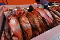 Путин поручил снизить стоимость перевозки рыбы с Дальнего Востока