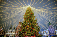 Главная новогодняя ель России будет украшать Кремль до 20 января
