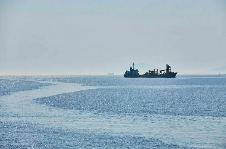Политолог объяснил, зачем Украина атакует суда в Черном море