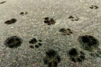 Москвичей предупредили о резком похолодании в выходные