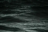 В Черном море произошло землетрясение