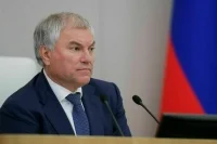 Володин: Госдума в ближайшее время рассмотрит ограничения для покинувших РФ преступников