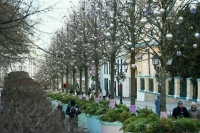 Москвичам спрогнозировали пасмурную погоду с повышенной влажностью до конца недели