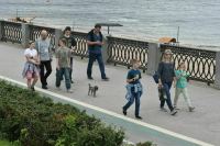 Многодетные семьи смогут подтверждать льготы QR-кодом в MAX