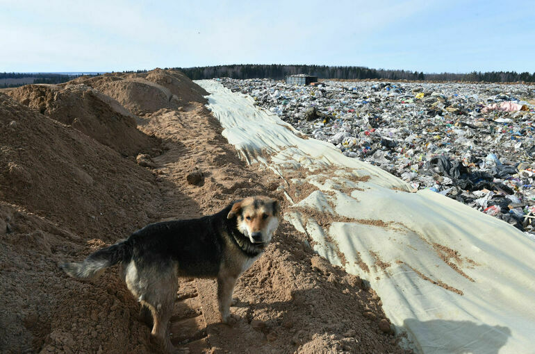 Срок использования старых мусорных полигонов продлят на два года